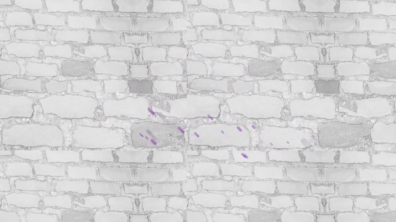 ⁇ 색 배경에 보라색 빛의 트레일의 애니메이션