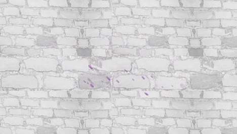 animación de rastros de luz púrpura sobre fondo blanco