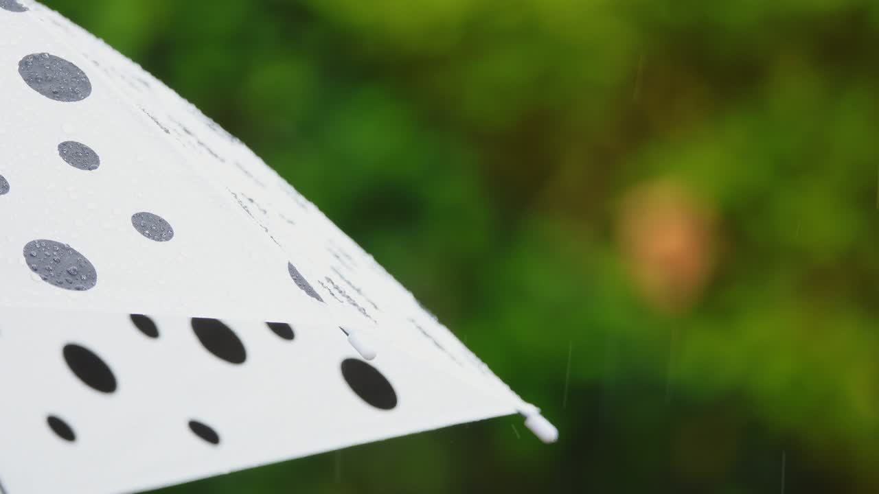 방울에서 폴카 도트 우산, 위험 관리 개념