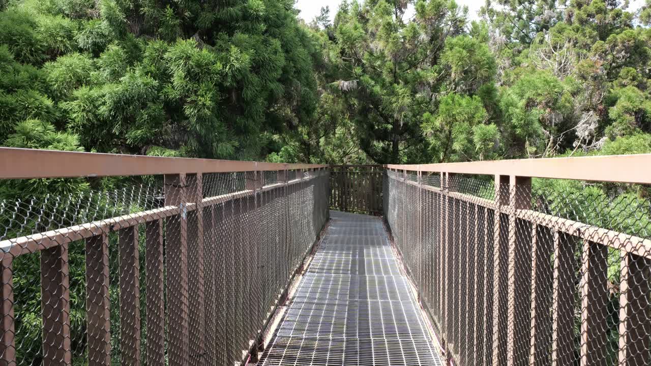 Skywalk elevated walkway through the treetops in Xitou Nature Education Area in Taiwan