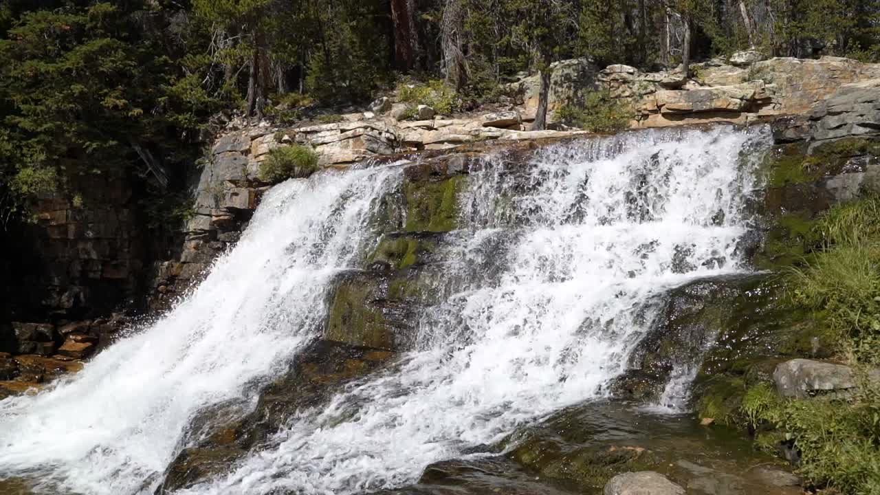 toma en cámara lenta de la hermosa cascada de provo falls en el bosque nacional uinta wasatch cache en utah en un brillante día soleado de verano