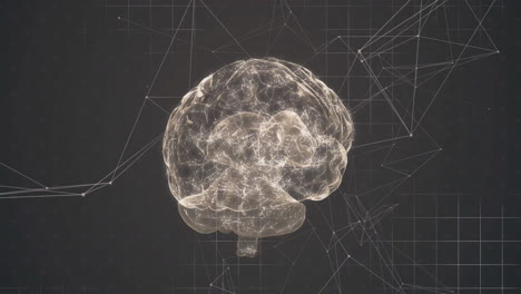 animation of digital brain spinning over network of connections