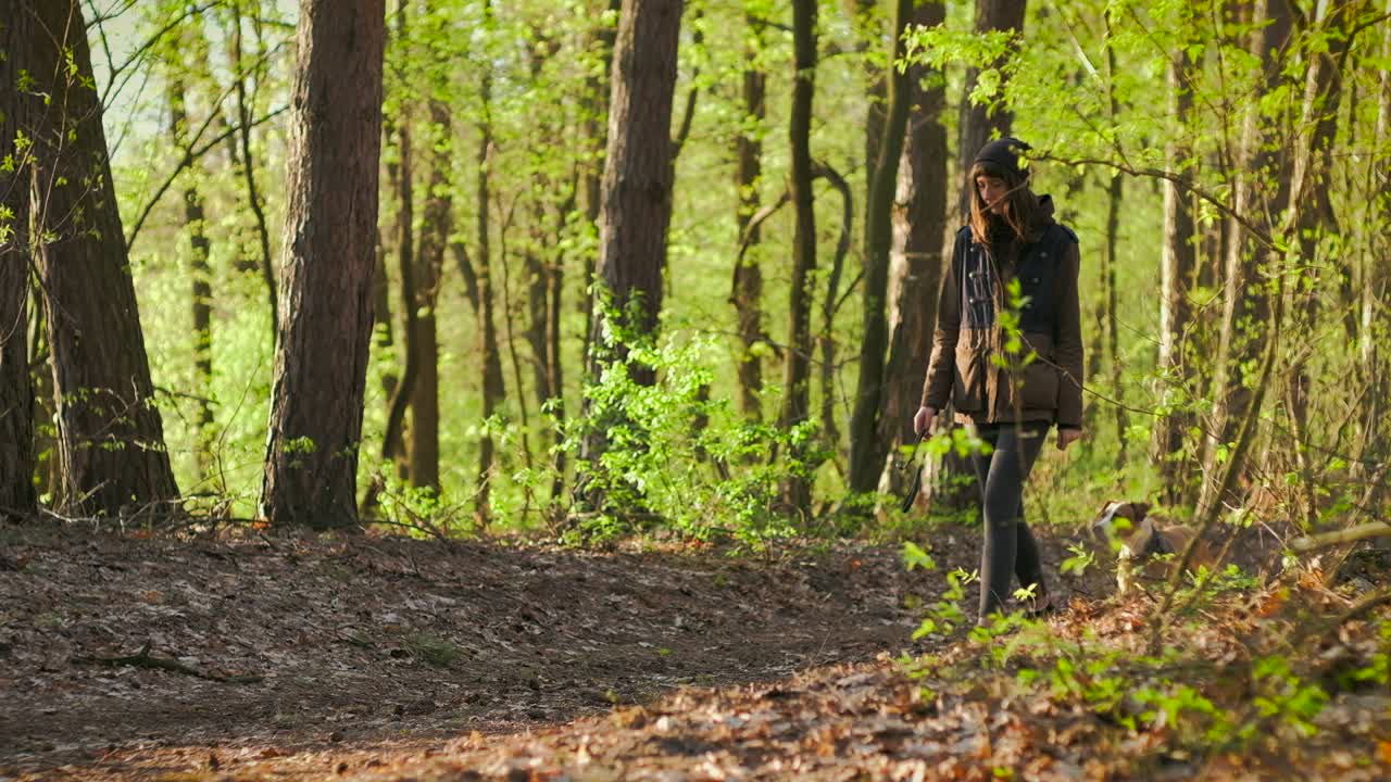 젊은 여자 와 개 는 황금 시간 에 아름다운 숲 에서 산책 한다