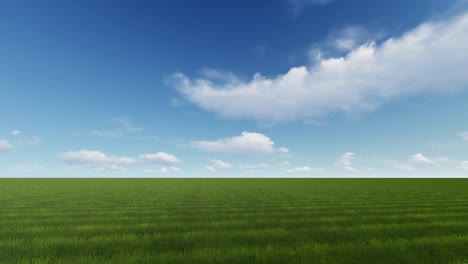 mooi groen veld met heldergroen gras in mooi zonnig weer. 4k in staat om te loopen