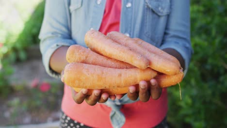 sección media de una niña afroamericana con zanahorias en el jardín