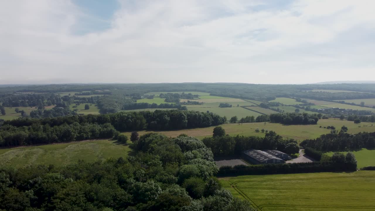 una toma ascendente de bosques en 4k por un dron
