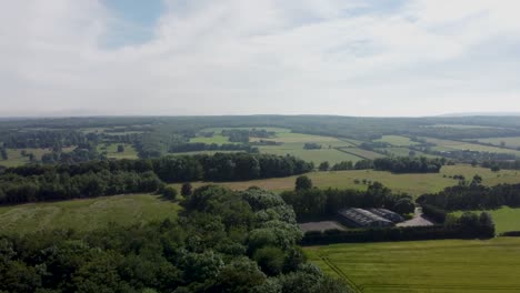 a rising shot of woodlands in 4k by a drone
