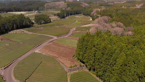 Slow-cinematic-backwards-tilt-up-drone-shot-over-green-tea-fields-and-Mount-Fuji