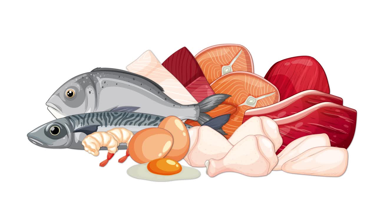 A static animation displays a detailed illustration of various raw meats, fish, shrimp, and eggs on a white background, using flat vector style