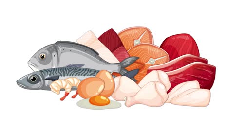 a static animation displays a detailed illustration of various raw meats, fish, shrimp, and eggs on a white background, using flat vector style