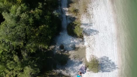 Picknick-An-Einem-Seeufer-Zwischen-Dem-Wald