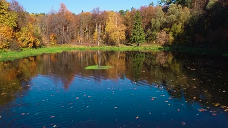 colorful autumn forest wood on the lake