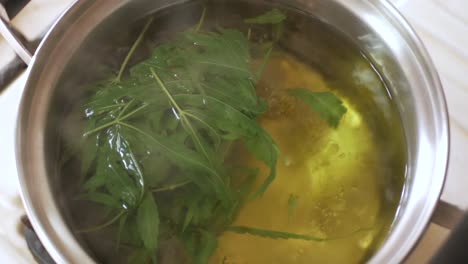 cannabis marihuana hemp leaves while boiling in pot for making tea