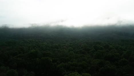 ariel drone view foggy morning sunset with green forest at sempadi coastal road link sarawak,borneo.