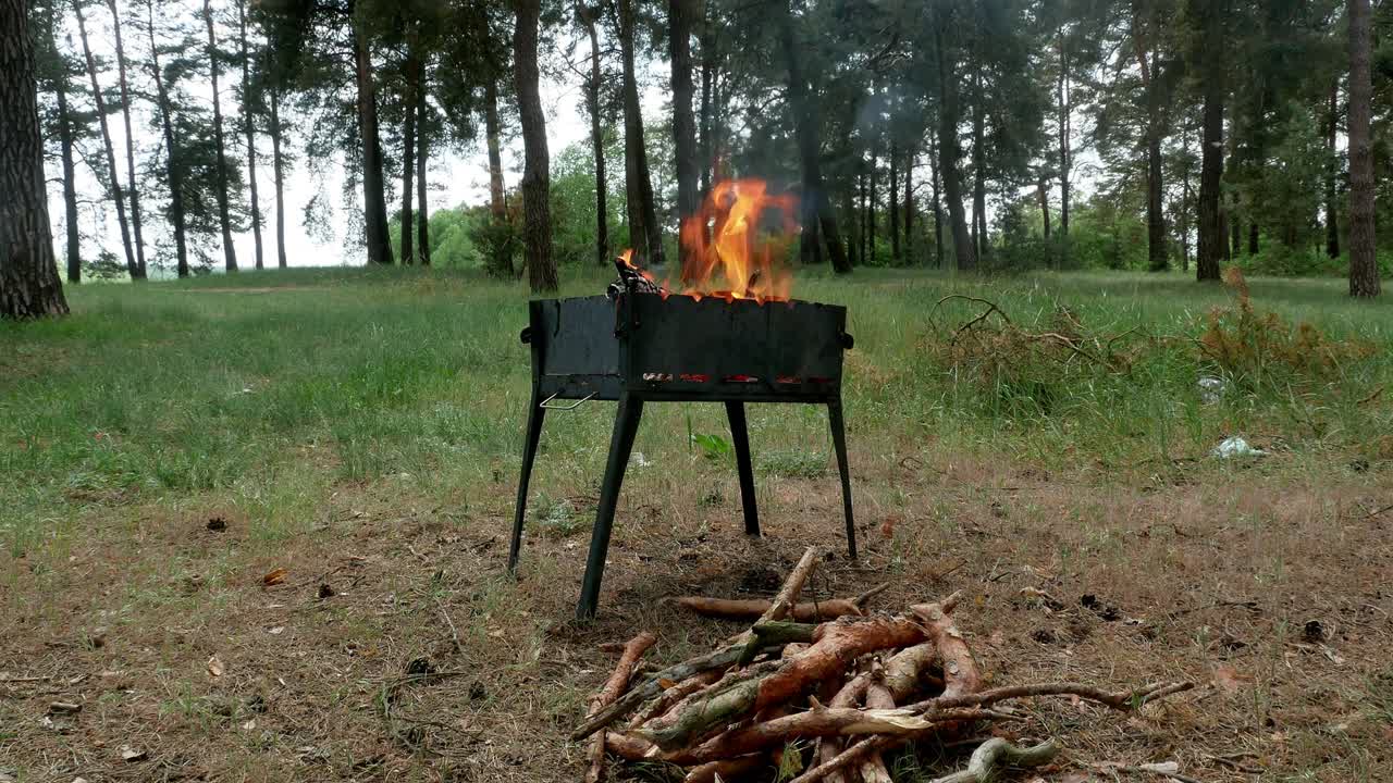 브라지어 바베큐 그릴 인 포레스트 4k