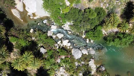 Una-Cascada-Que-Fluye-A-Través-De-Un-Gran-Y-Muy-Verde-Bosque-De-Palmeras