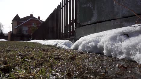 melting snow in a spring garden next to a house and fence