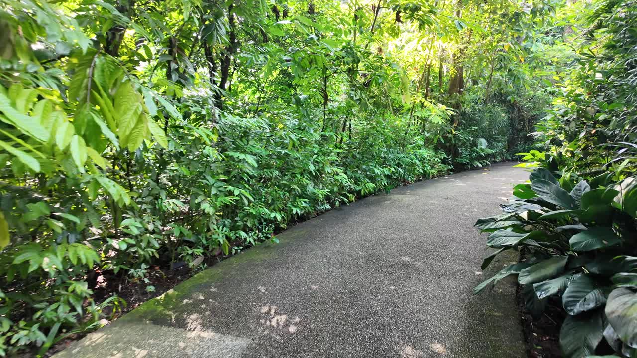 Tropical Garden Path