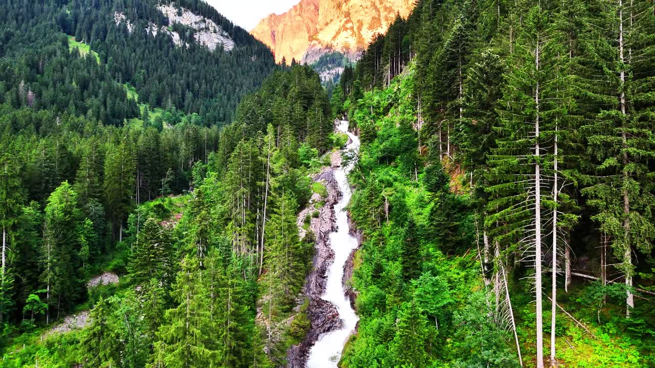 Cascata alpina pittoresca che scorre attraverso una fitta foresta verde a Lenk, Simmenfälle, Svizzera, circondata da alberi ad alto fusto e cime montuose illuminate dalla calda luce del sole su un cielo sereno