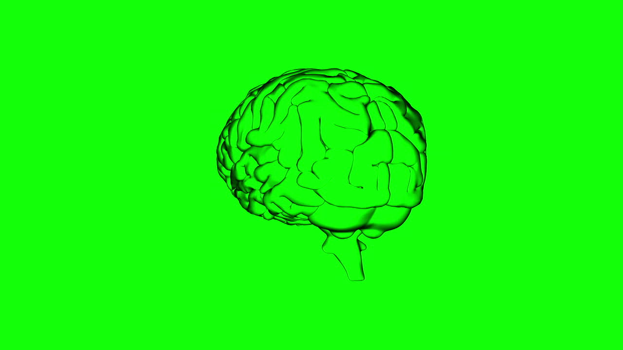 cerebro girando en el fondo de la pantalla verde