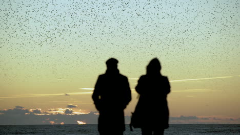 Dos-Personas-Ven-Una-Gran-Bandada-De-Pájaros-Volar-Al-Unísono-Sobre-El-Océano-Al-Atardecer