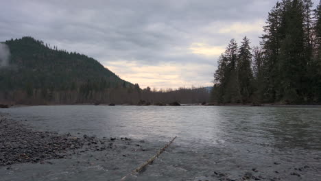 gray, cloudy morning on bank of swift flowing nooksack river, washington state