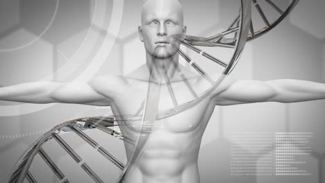 animation of dna strand spinning and scientific data processing over human body