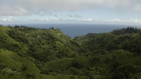 Aerial-Flyover-Of-Valley-In-The-Mountains-In-Maui,-Hawaii