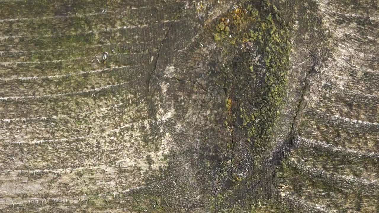 fondo de movimiento de parada de madera y piedra 4k