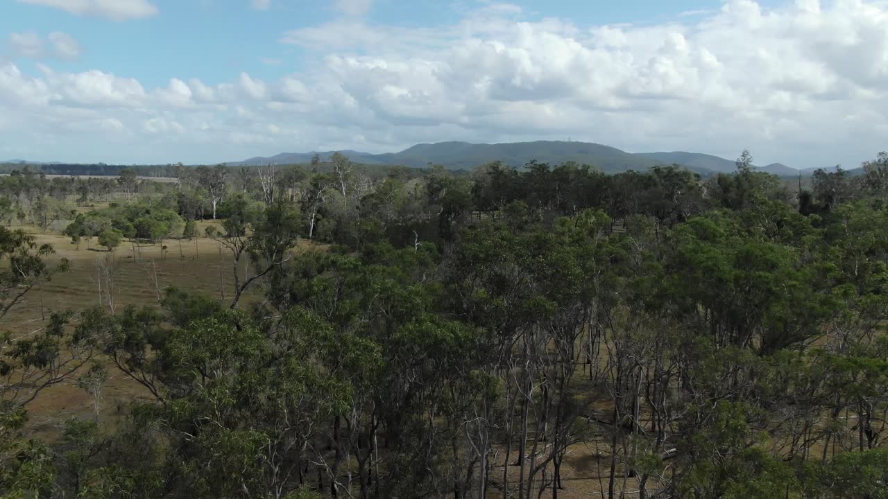 Stromy v Bajoolu v Queenslandu, Austrálie. Letecky vpřed