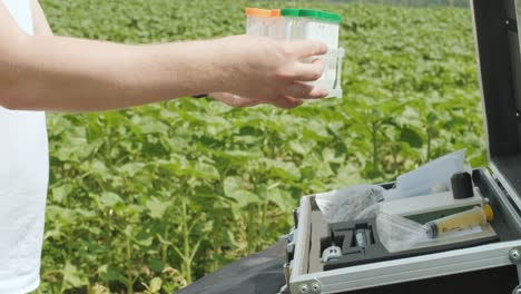 laboratory worker holding professional glassware and testing plant sprouts before harvest in the field.