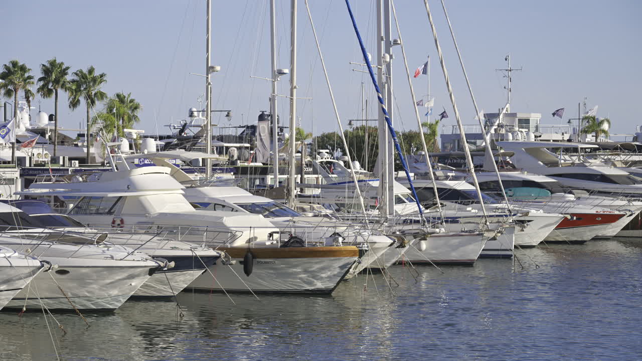 Cannes, France - June 22, 2025: Multiple boats docked in the Cannes harbour surrounded by palm trees in daylight
