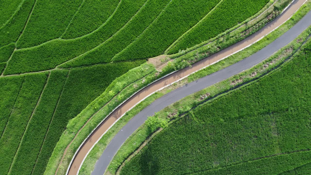 라이스 테라스의 조감도