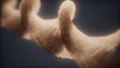 dna 이중 나선 애니메이션의 루프 가능한 구조