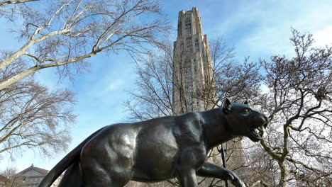 university of pittsburgh pitt panther and cathedral of learning