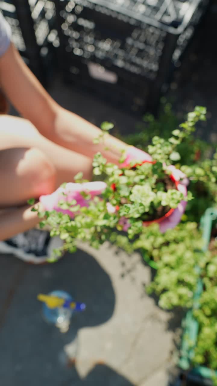 비 식물 을 들고 있는 손 들