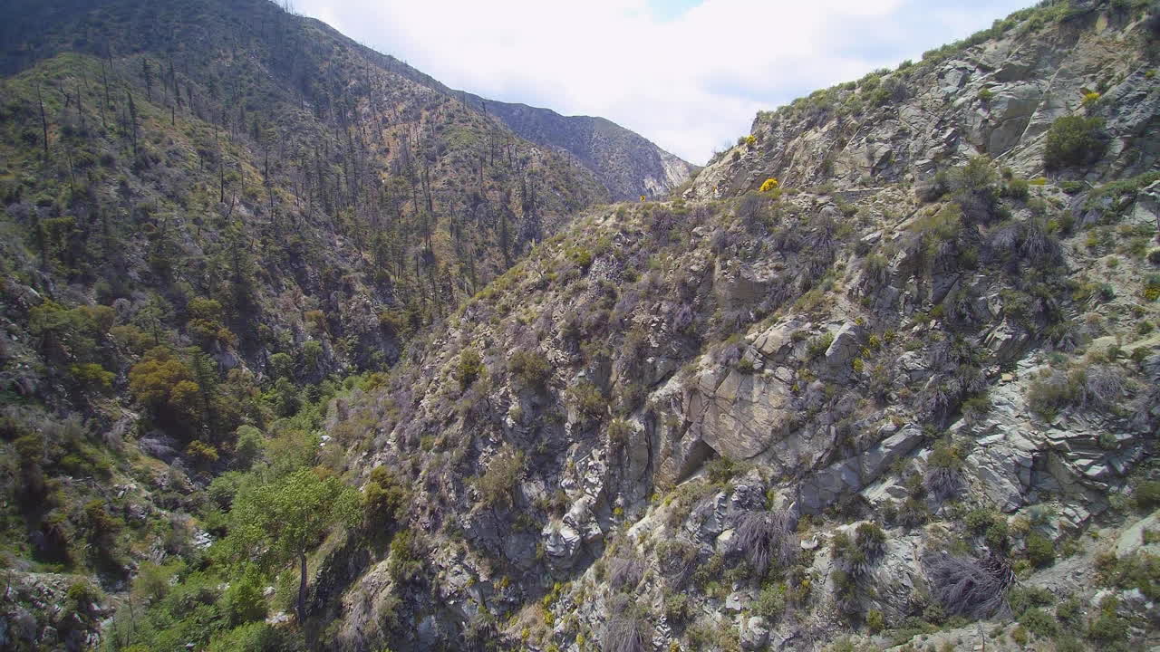 tomas aéreas del barranco del bosque nacional angeles en california, estados unidos