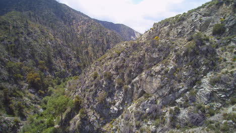 Tomas-Aéreas-Del-Barranco-Del-Bosque-Nacional-Angeles-En-California,-Estados-Unidos