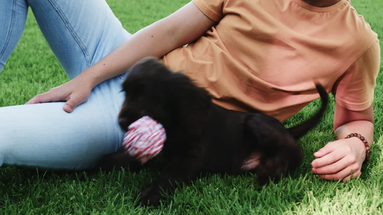Relaxing on grass, Asian man playing with black puppy, enjoying sunny day, in park