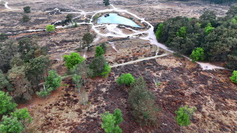 vast dry land with small pond. a vast, dry landscape features a small pond surrounded by sparse vegetation and scattered trees in a tranquil setting