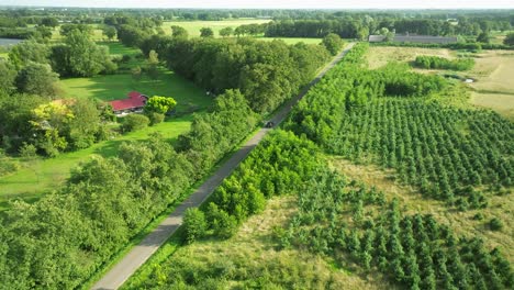 car driving on rural road surrounded by lush green trees and farmland under a bright sunny sky