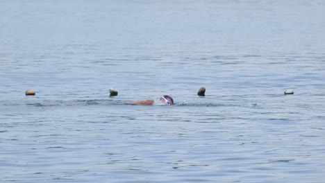 Open water swimming in a lake