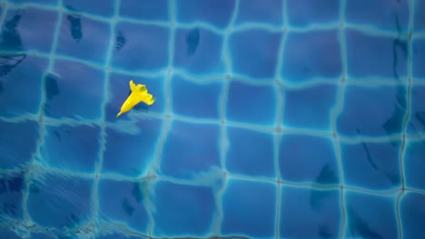 yellow flower floating in the pool top view in slow motion.