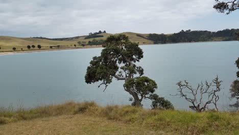 wide-shot-of-a-bridge,-lake,-river---beach