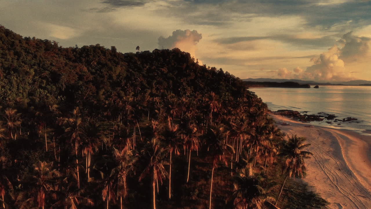 Tropical Sunrise over a Palm-Fringed Beach