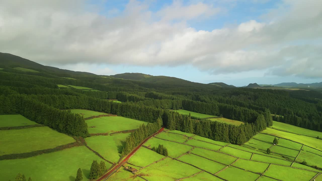 Aerial view from drone of Terceira Island - Green fields