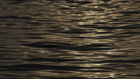 serene water surface texture glowing golden from sunlight, natural background