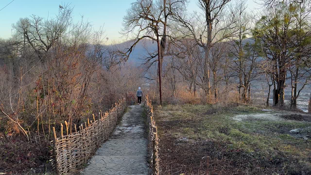 a Man walking in forest park Iran Hyrcanian mountain nature adventure beautiful exercise exploration healthy hike journey in scenic landscape lifestyle male outdoor peaceful recreation in mazandaran