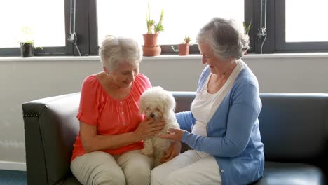 senior women pampering dog