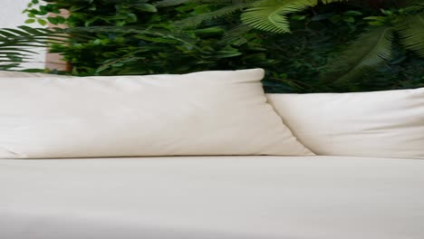 white sofa with pillows and plants